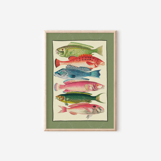 Colourful Fish Illustration Green