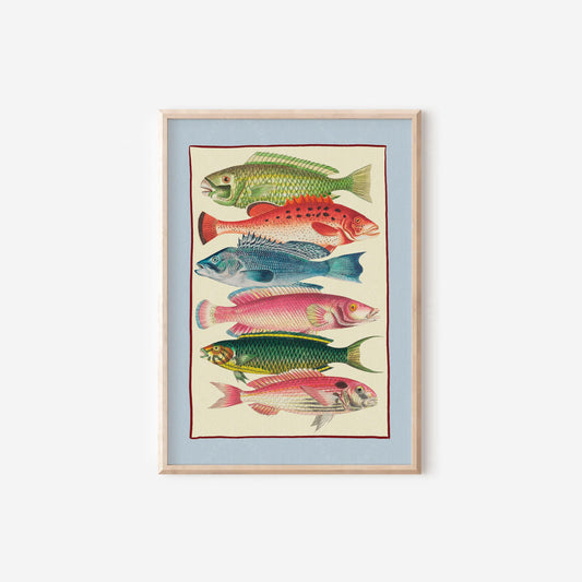 Colourful Fish Illustration Blue