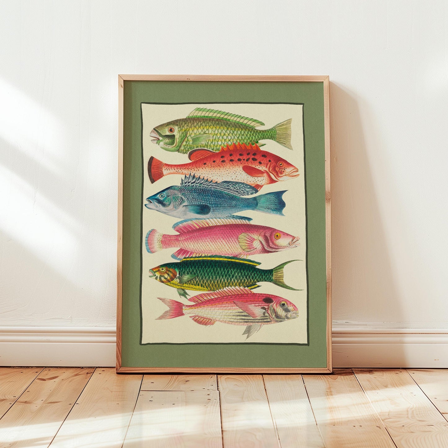 Colourful Fish Illustration Green