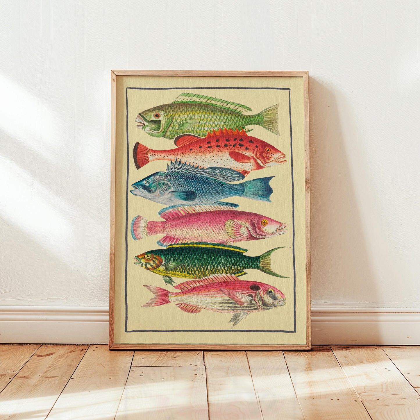 Fish Art Colourful Nautical