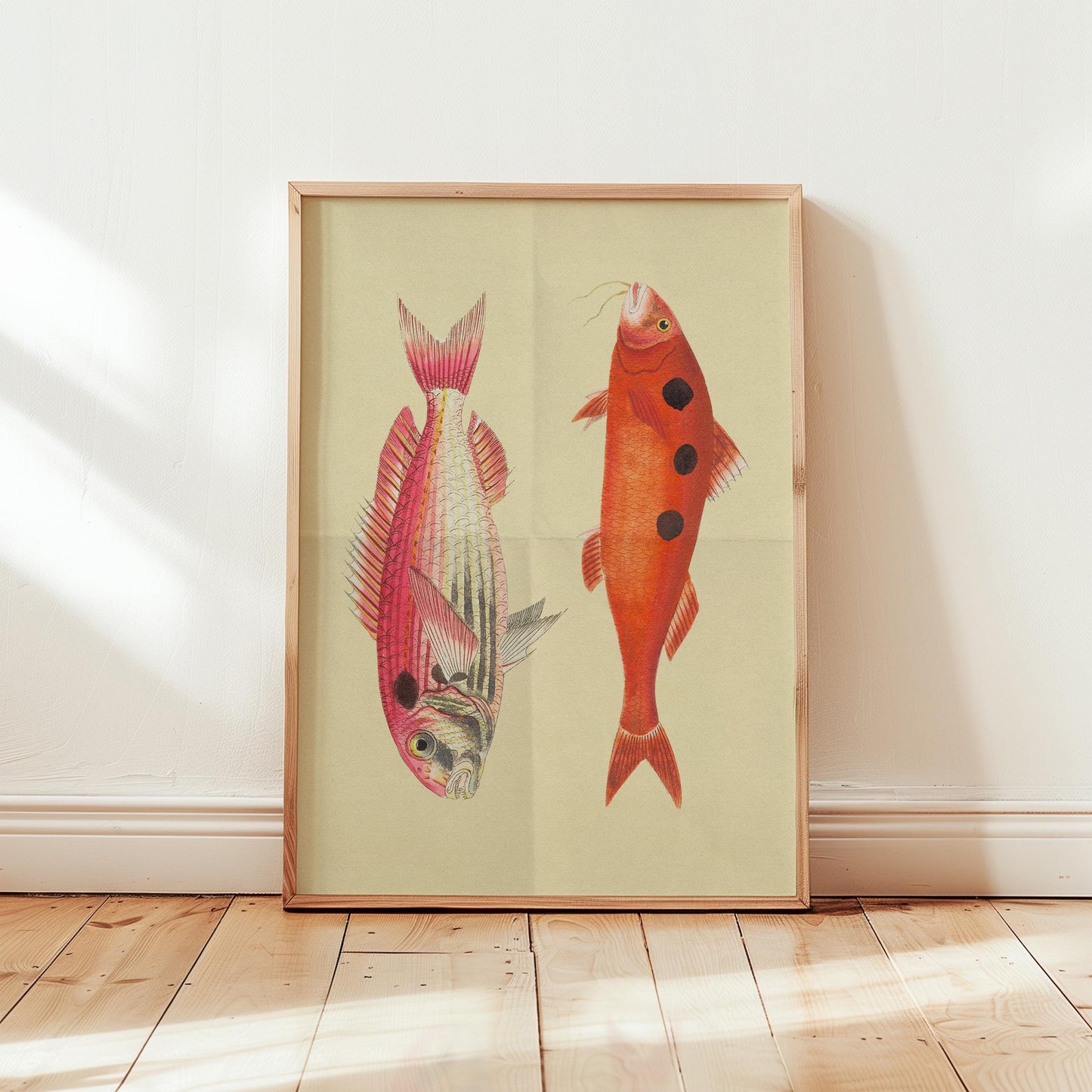 Fish Colourful Nautical