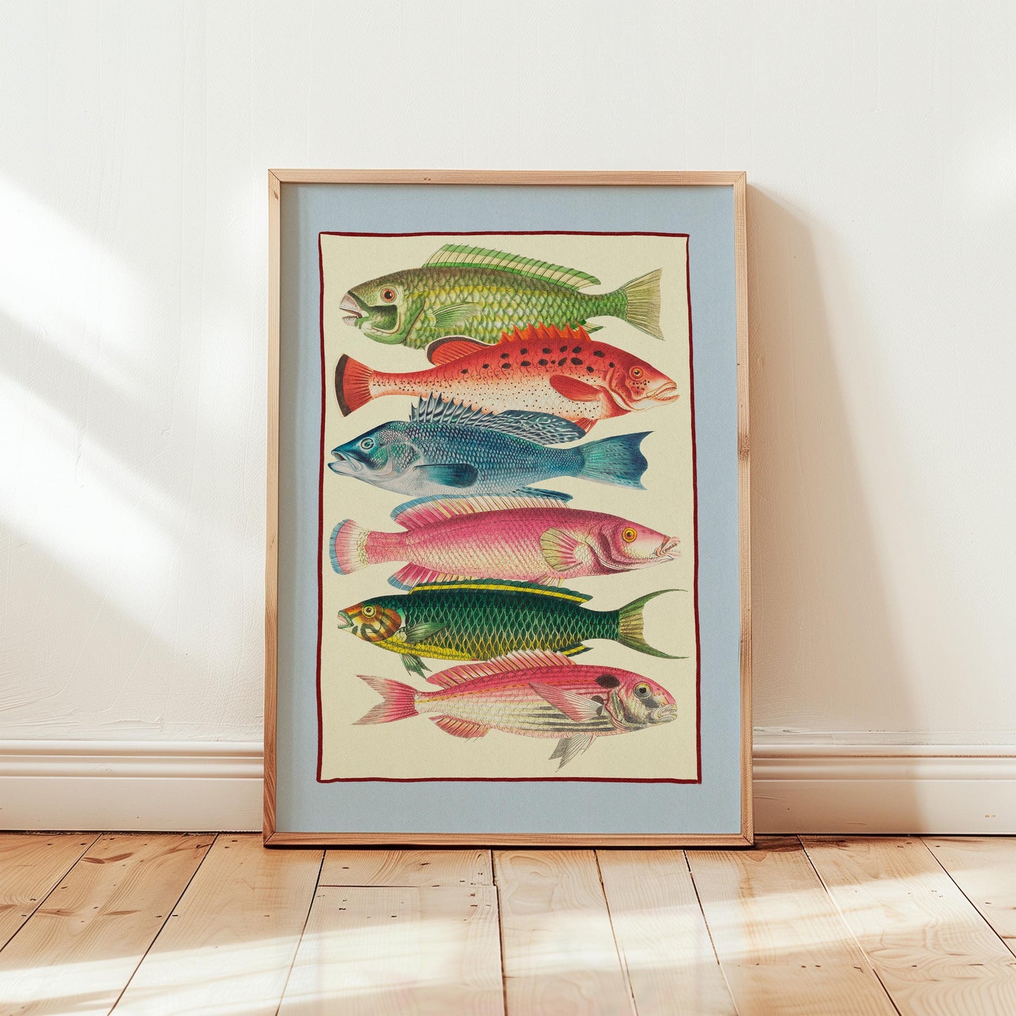 Colourful Fish Illustration Blue