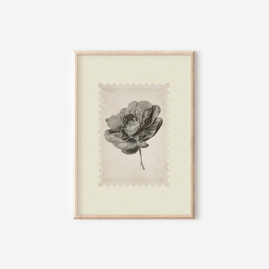 Floral Botanical Neutral Vintage